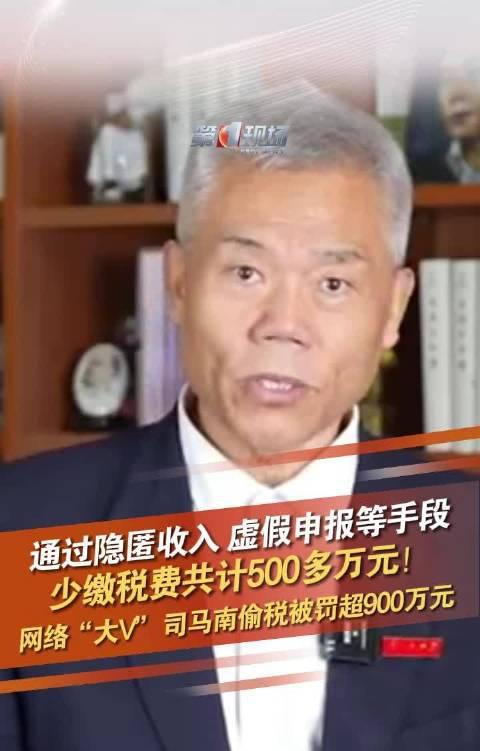 逃税事件的看法简短_对逃税的看法_